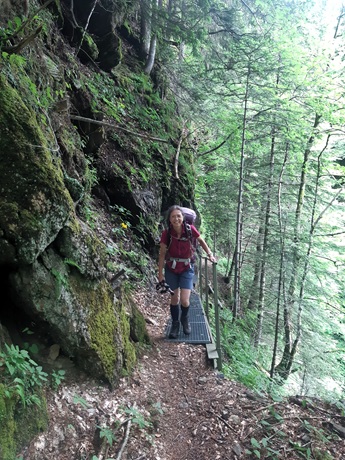 Im Wald