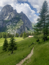 Fernblick