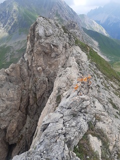 Fernblick