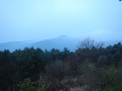 Fernblick