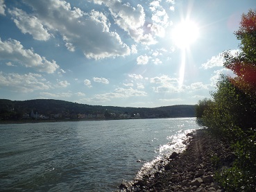 Rheinsteig3